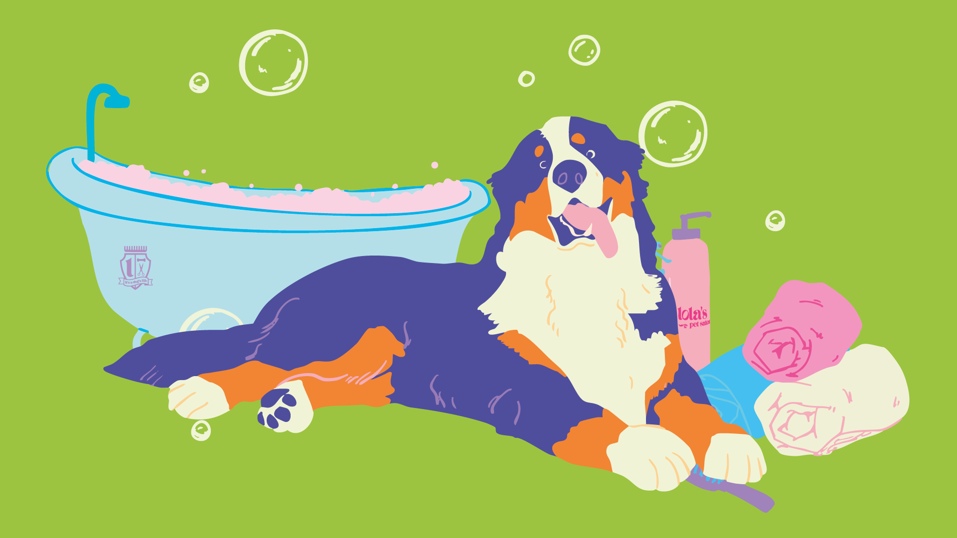 How to Groom a Bernese Mountain Dog at Home