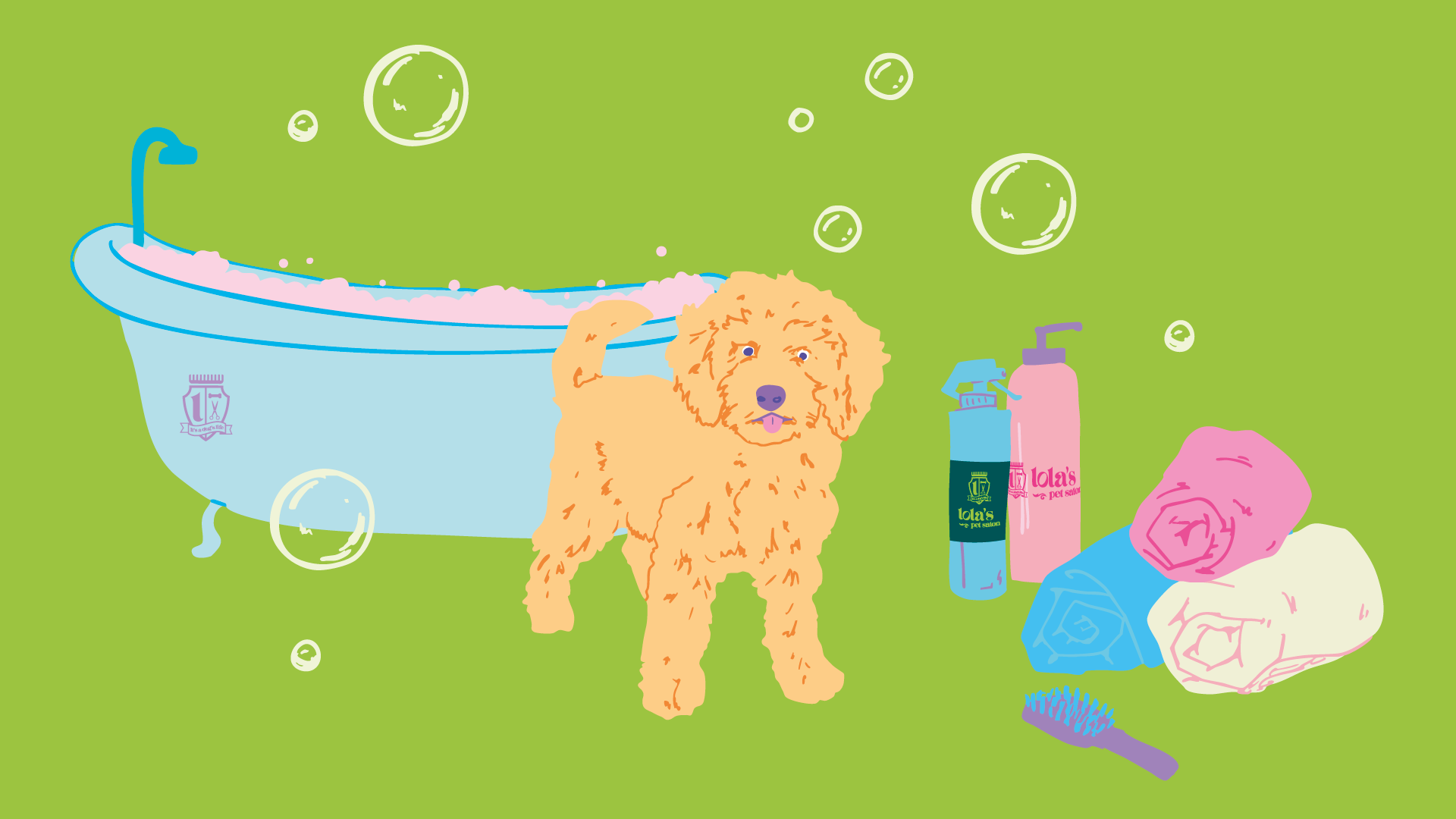 How to Groom a Cavapoo at Home