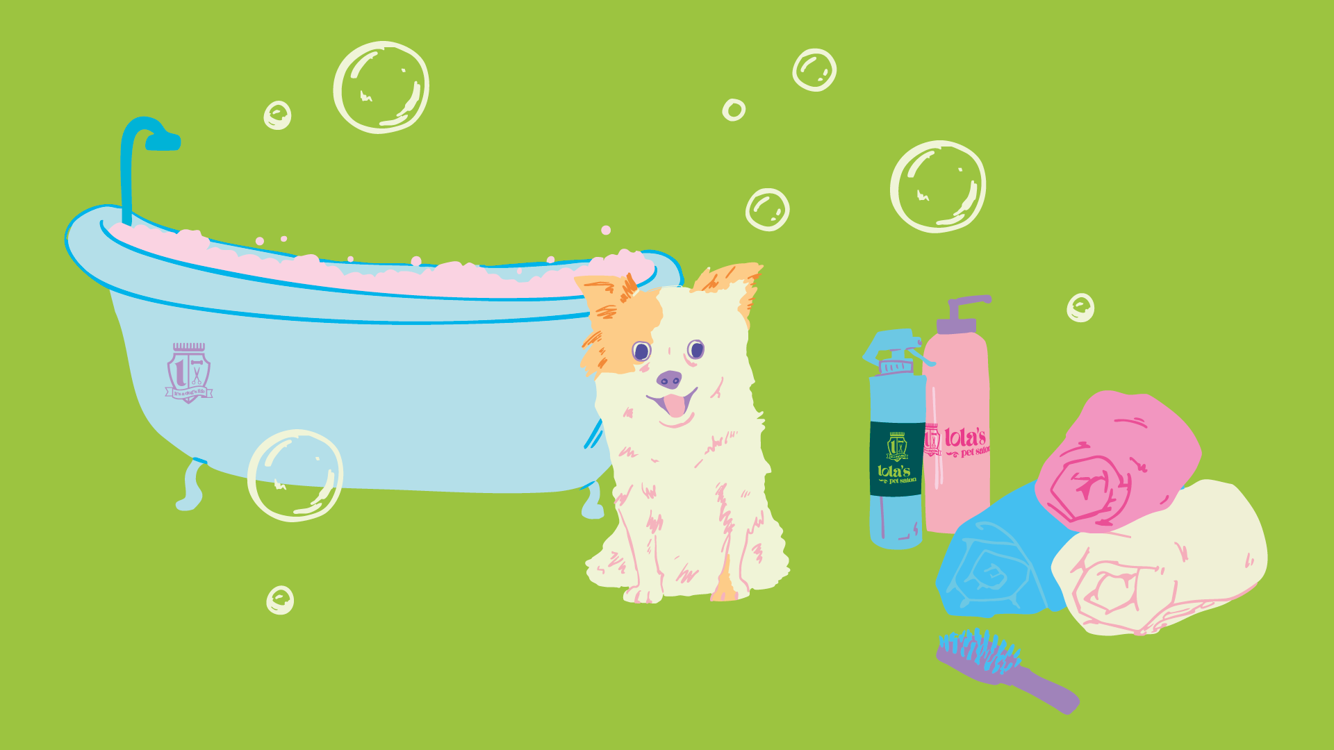 How to Groom a Chihuahua at Home