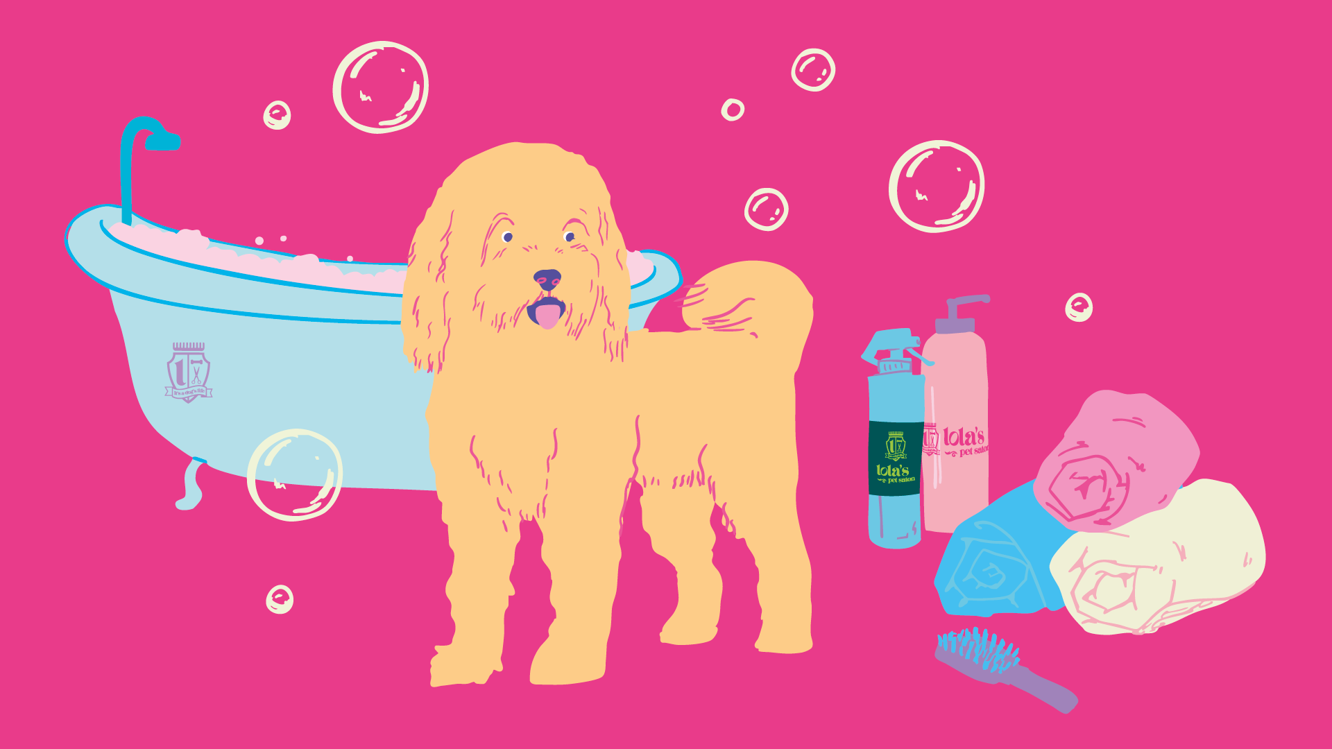 How to Groom a Cockapoo at Home