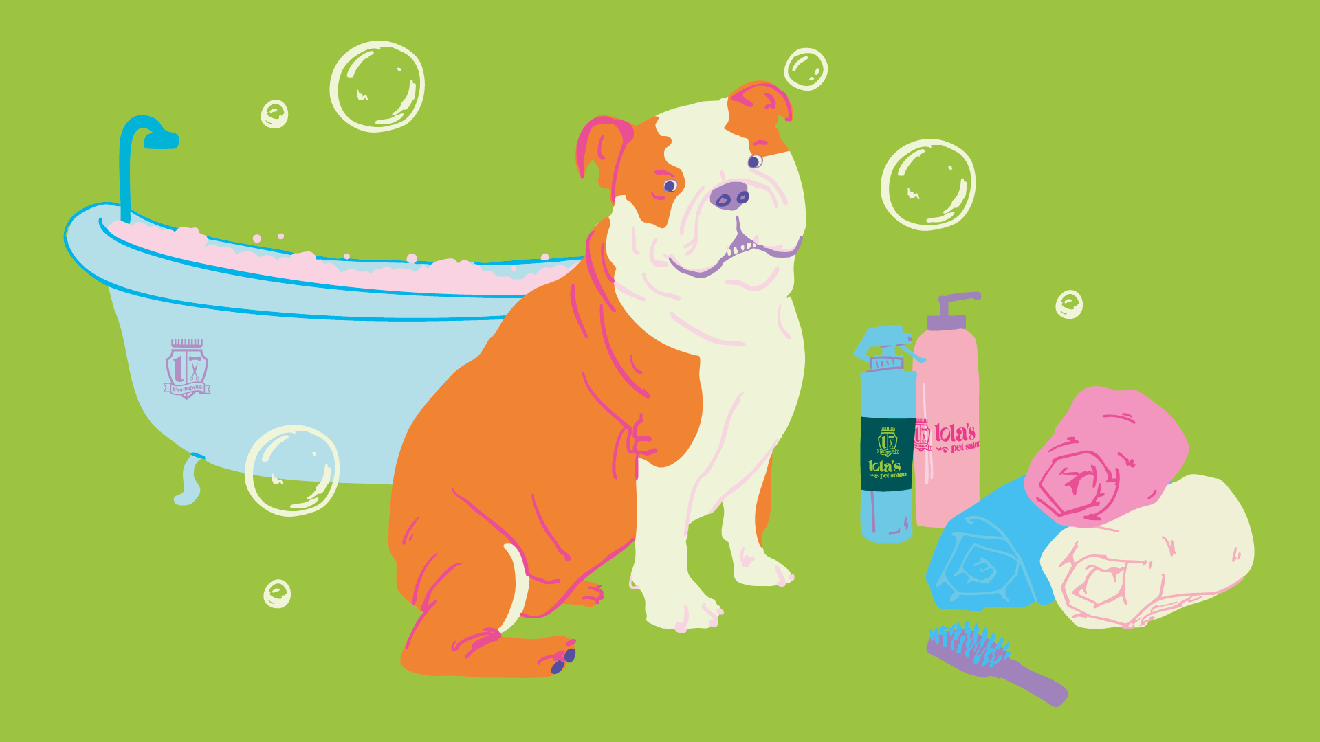 How to Groom an English Bulldog at Home
