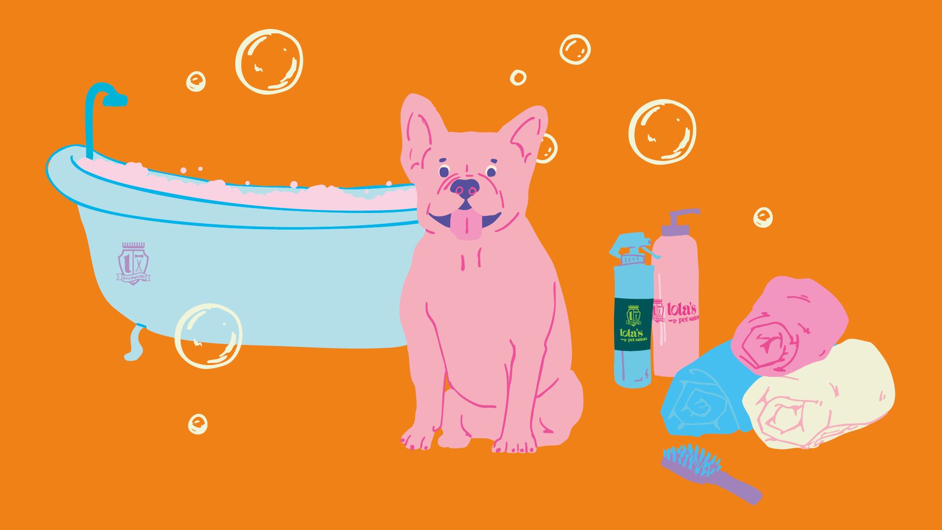 How to Groom a French Bulldog at Home