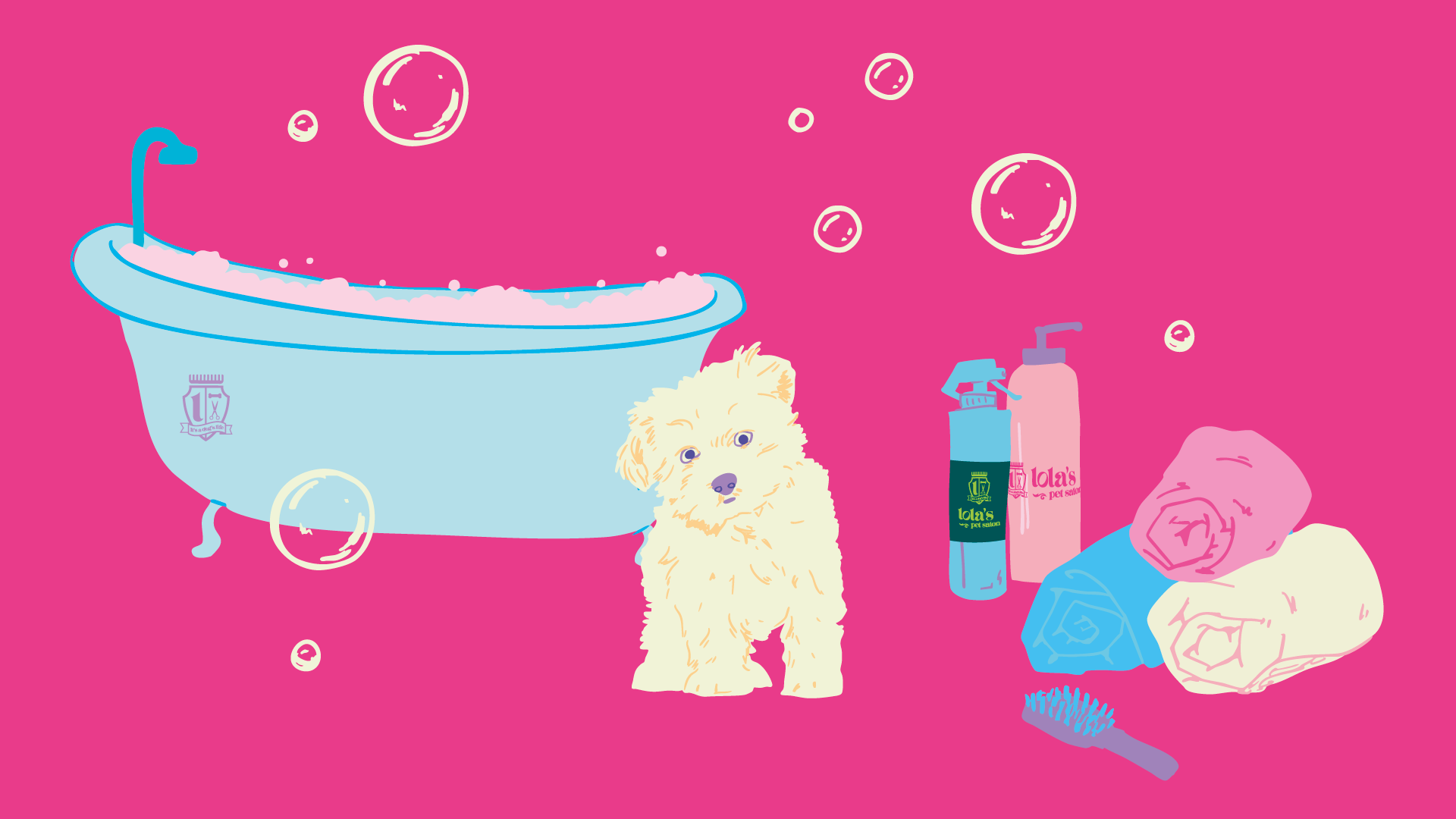 How to Groom a Maltese at Home