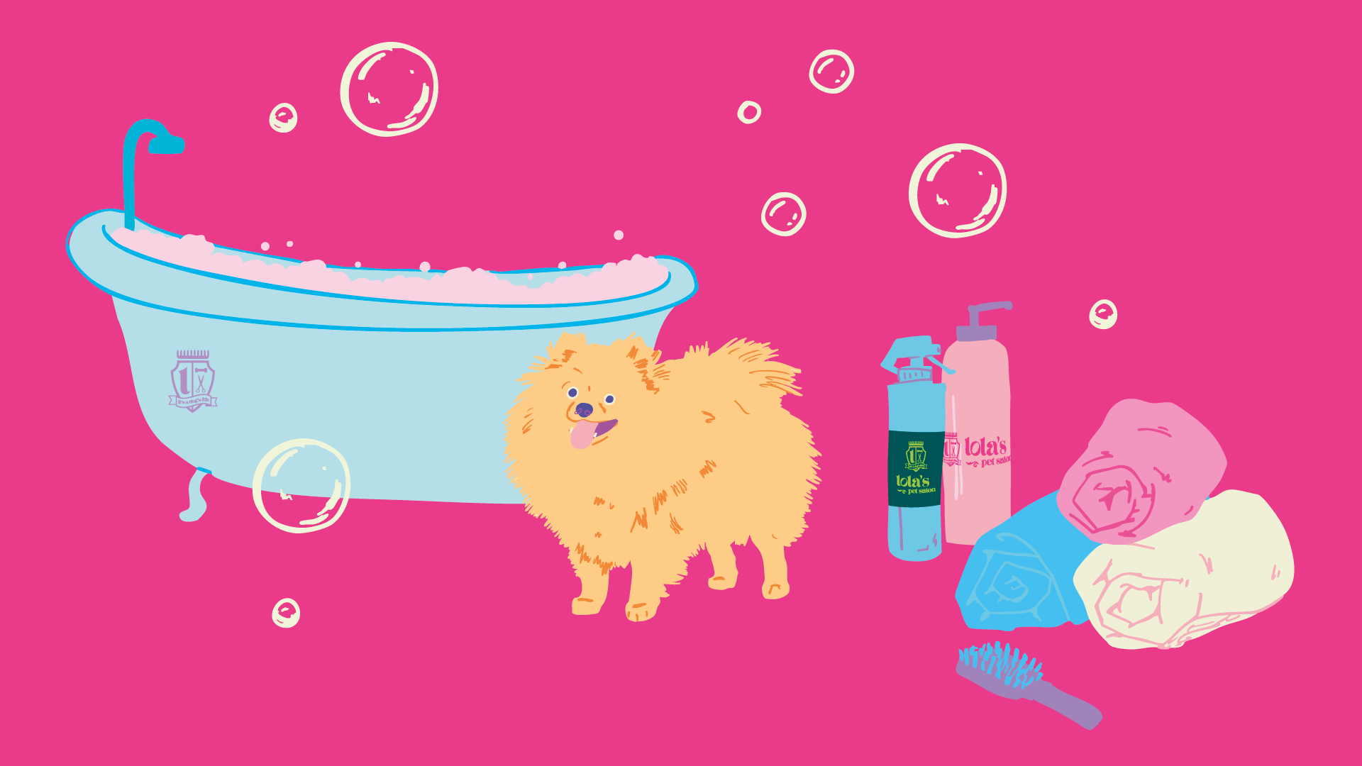 How to Groom a Pomeranian at Home