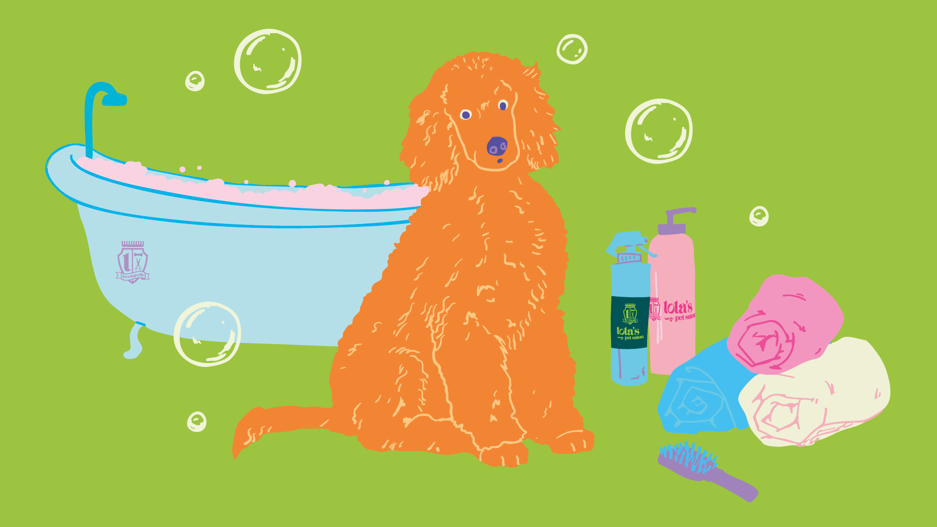 How to Groom a Poodle at Home