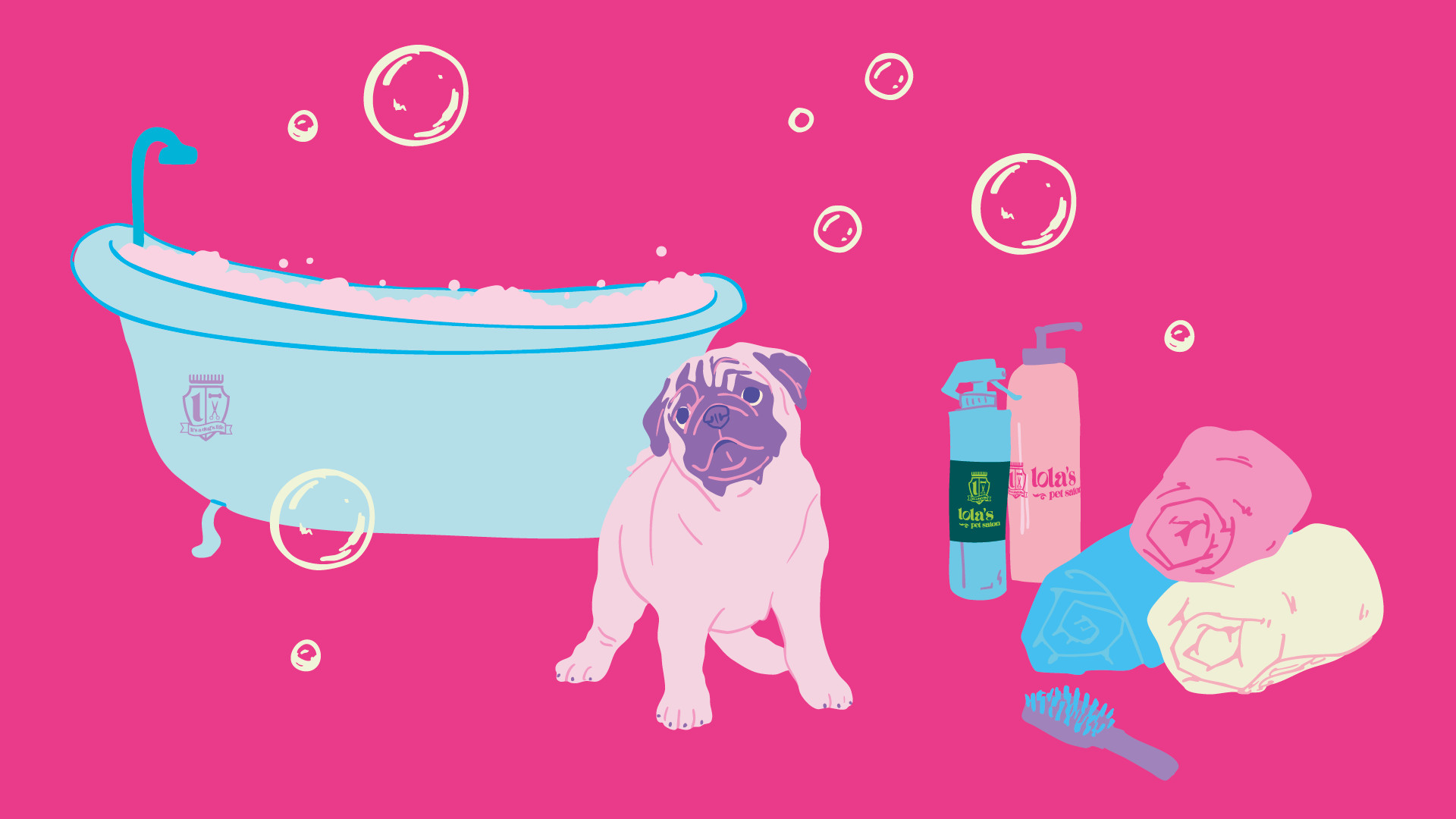 How to Groom a Pug at Home