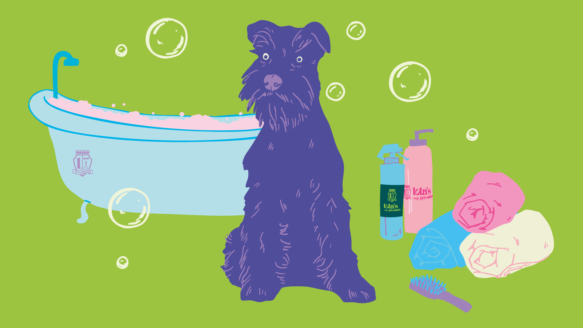 How to Groom a Schnauzer at Home