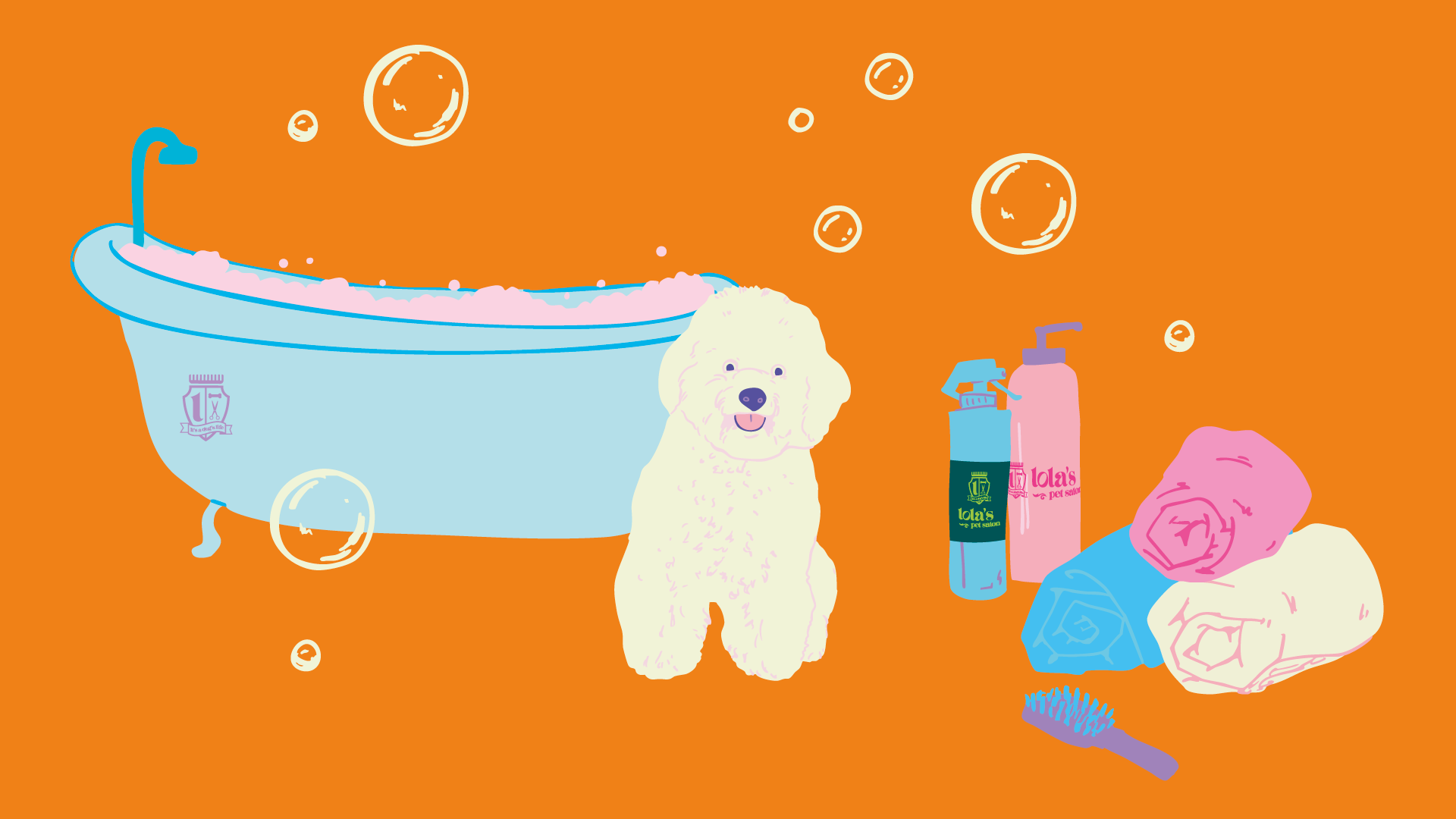 How to Groom a Bichon Frise at Home