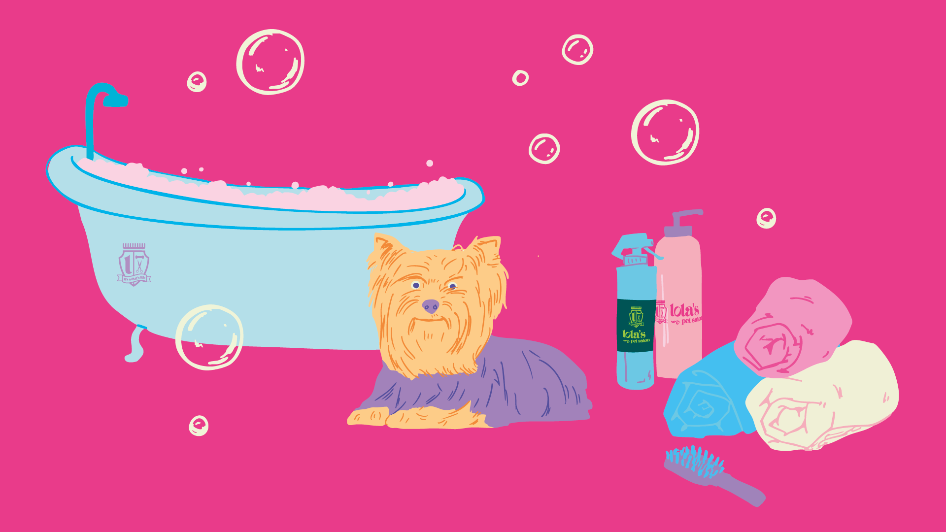How to Groom a Yorkshire Terrier at Home