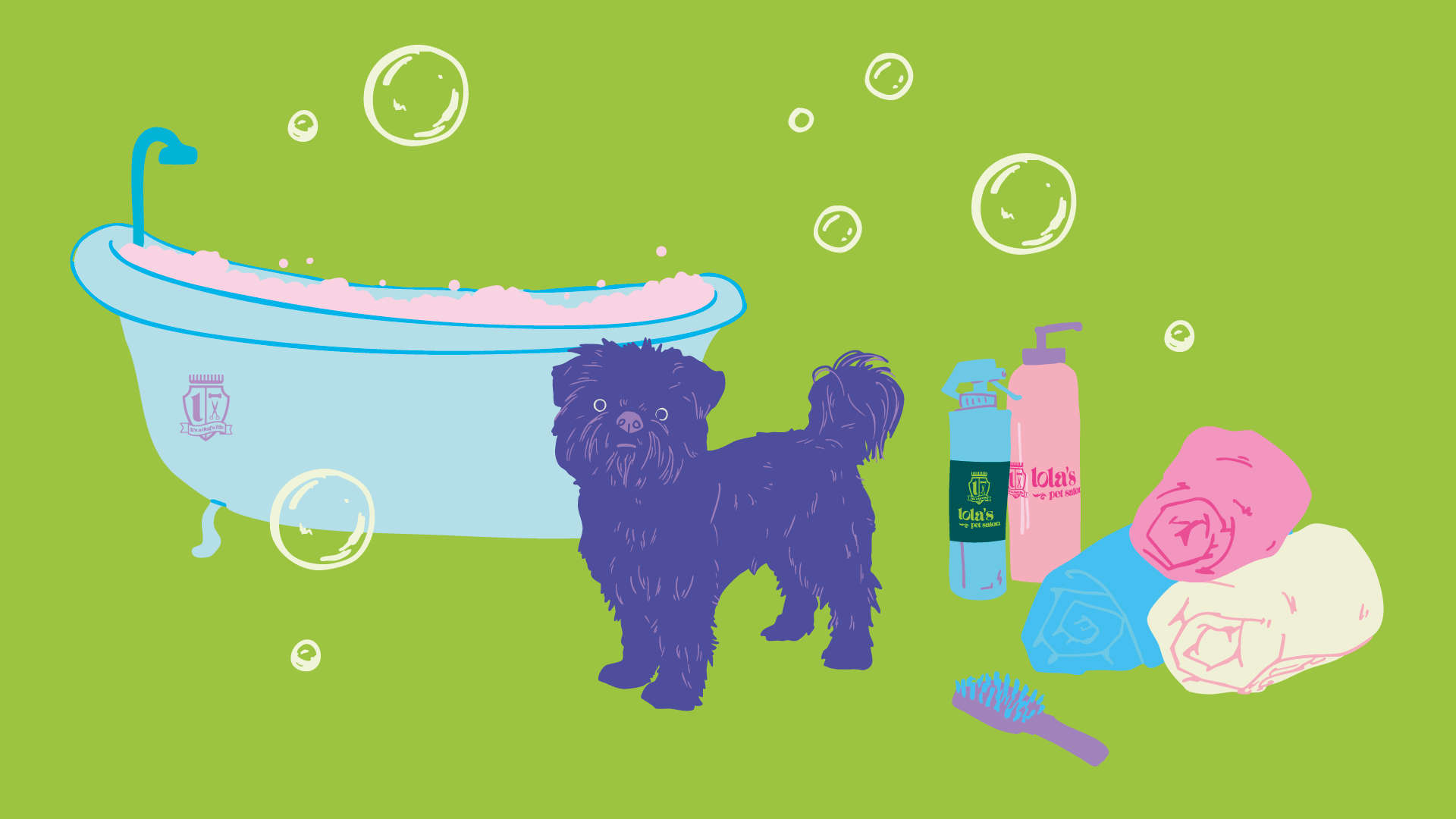 How to Groom an Affenpinscher at Home