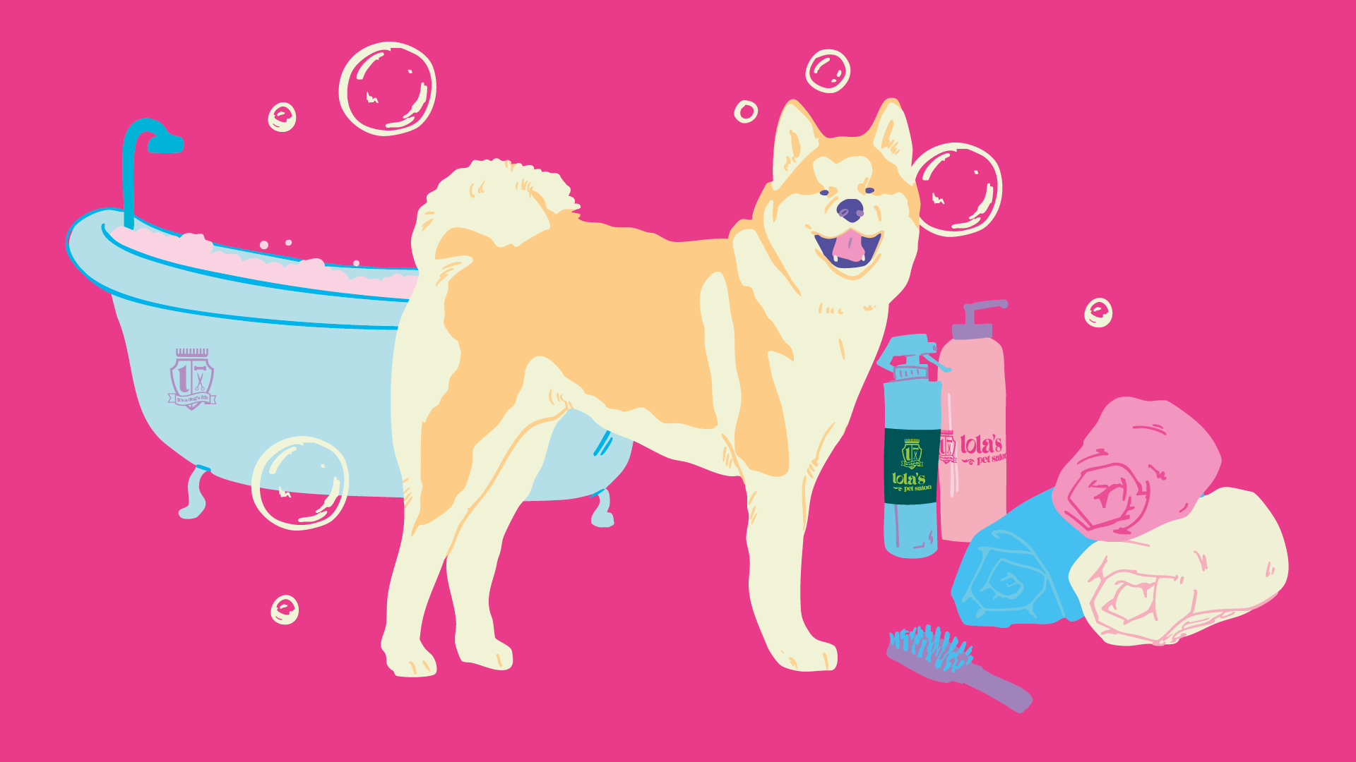 How to Groom an Akita Inu at Home