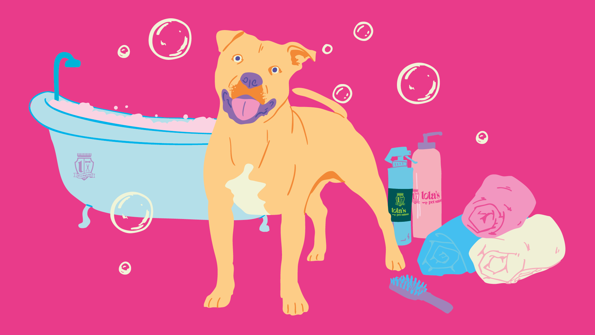 How to Groom a Staffordshire Bull Terrier at Home